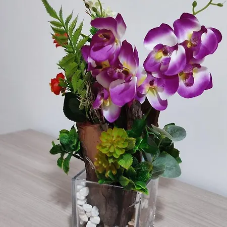 بيت ضيافة Nonna Angela